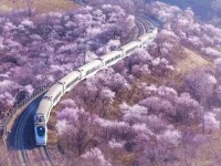 云南2020年铁路学校就业前景怎么样